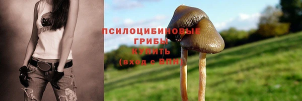 mix Медногорск