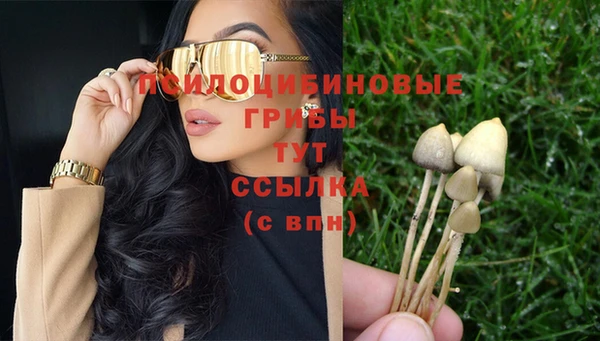 герыч Мегион