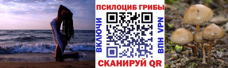 Псилоцибиновые грибы Psilocybe  hydra как войти  дарк нет состав  Энгельс 