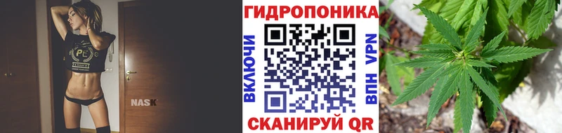 купить наркоту Энгельс Марихуана гибрид